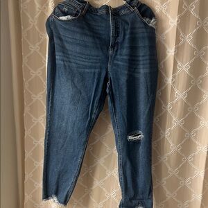 Terra & Sky Dark Blue Distressed Skinny Jeans
